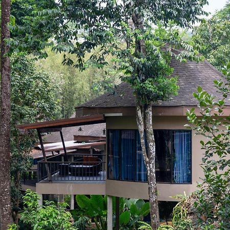 Rock And Tree House Resort Khao Sok National Park Exteriör bild