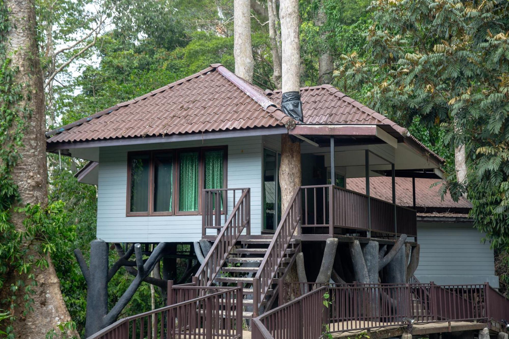 Rock And Tree House Resort Khao Sok National Park Exteriör bild